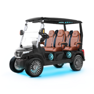 Black Evolution DMAX GT4 Golf Cart Australia - Ecoglide