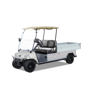Evolution 1000 Utility Vehicle Golf Cart