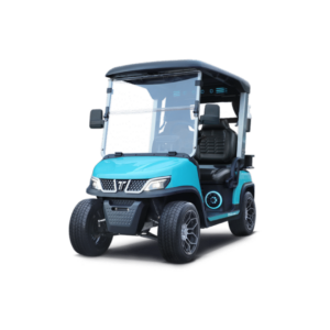 Tara Roadster 2 Golf Cart