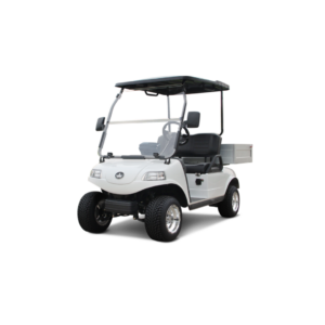 Evolution 450 Utility Vehicle Golf Cart